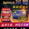 Hamer 汗馬糖 Spinach 金糖第四代升級版｜ 1盒30顆